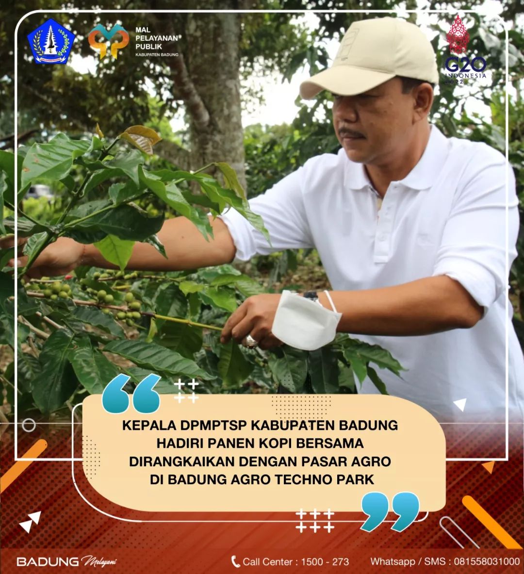 KEPALA DPMPTSP KABUPATEN BADUNG HADIRI PANEN KOPI BERSAMA DIRANGKAIKAN DENGAN PASAR AGRO DI BADUNG AGRO TECHNO PARK